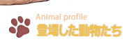 Animal profile　動物プロフィール