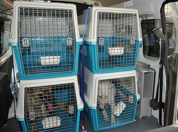 計6頭の救助犬が乗り込める