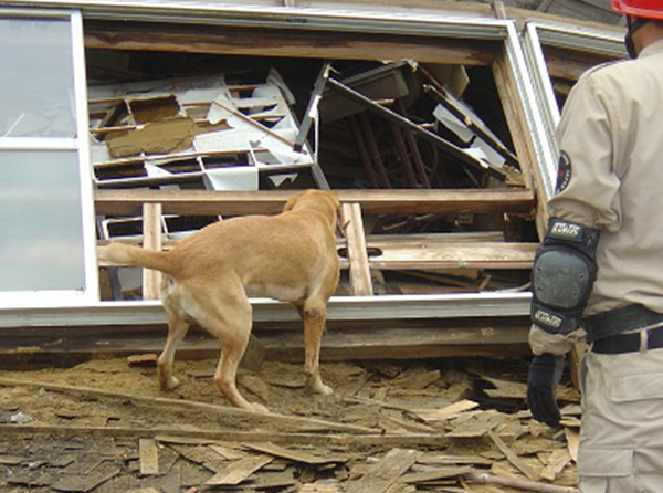 新潟中越沖地震での救助活動 1