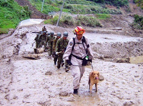 新潟中越沖地震での救助活動 2