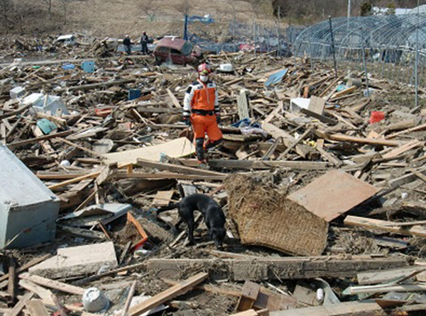 東日本大震災：陸前高田での救助活動