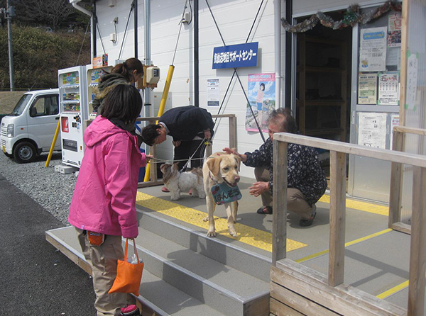 セラピードッグ派遣：気仙沼 1