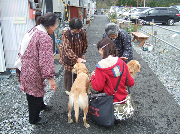 セラピードッグ派遣：気仙沼 2