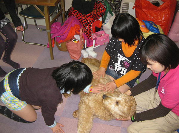 セラピードッグ派遣：気仙沼 3