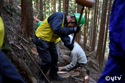 遊歩道の再生と修復