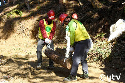 間伐木・除伐木の回収と搬出