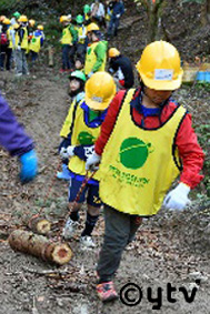 間伐木・除伐木の回収と搬出