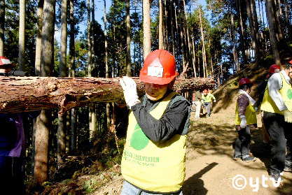 間伐木・除伐木の回収と搬出