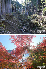 ボランティアの皆さん