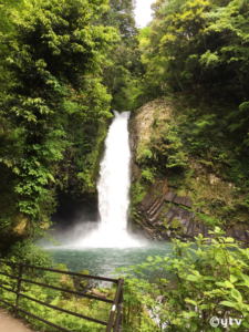 伊豆・浄蓮の滝。たまにはこーゆー写真も。