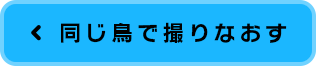 同じ鳥で撮りなおす