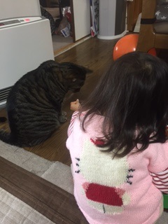 いちとの距離 たて.jpg