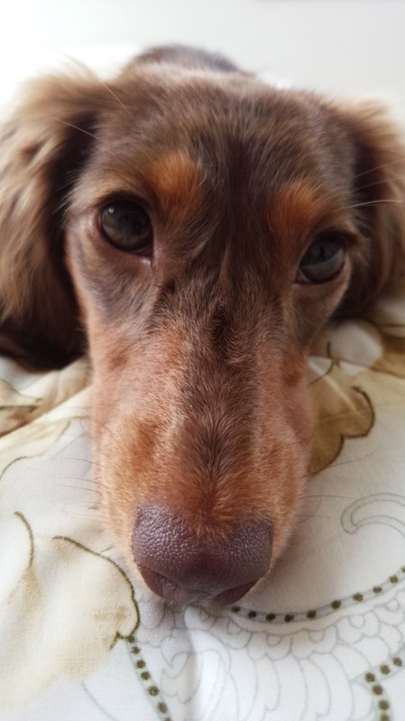 IMG_20160708_075857.jpgのサムネイル画像のサムネイル画像