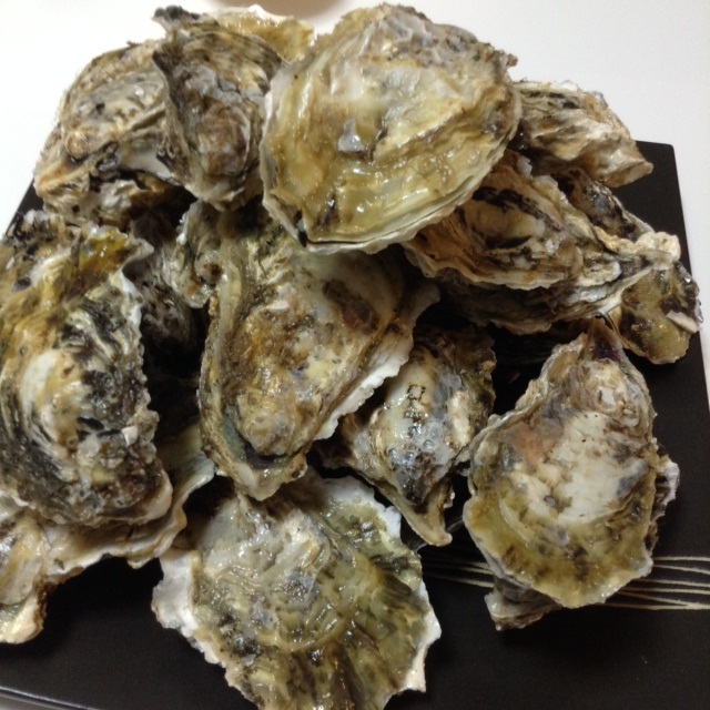 牡蠣.jpg