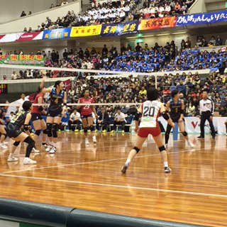 volly011802.jpg