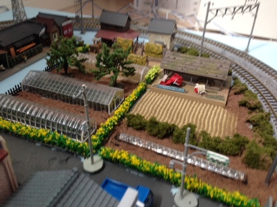 Nゲージジオラマ　農業地区.JPG