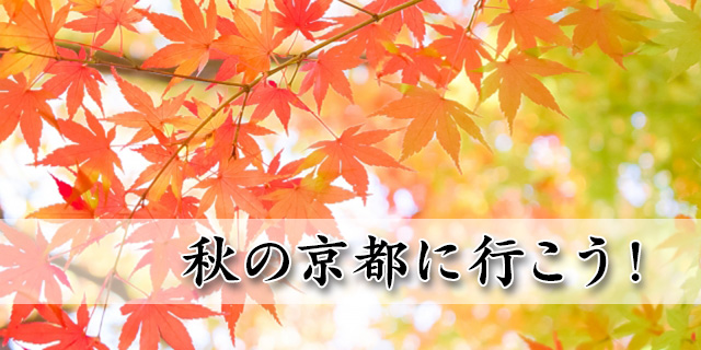 秋の京都に行こう！