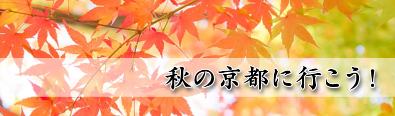 秋の京都に行こう！