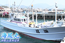 朝生ワイド す またん 読売テレビ 日本テレビ系