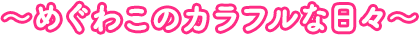 めぐわこのカラフルな日々