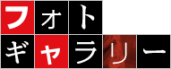 フォトギャラリー