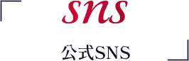 sns 公式SNS