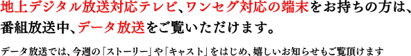 地上デジタル放送対応テレビ、ワンセグ対応端末