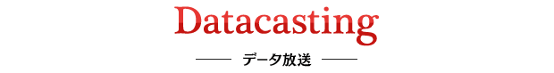 Datacasting データ放送
