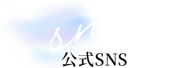 sns 公式SNS