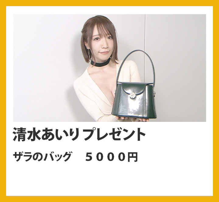 清水あいり　ザラのバッグ　５０００円