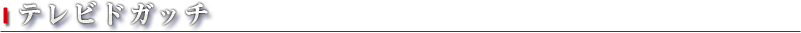 テレビドガッチ
