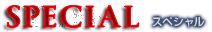 スペシャル