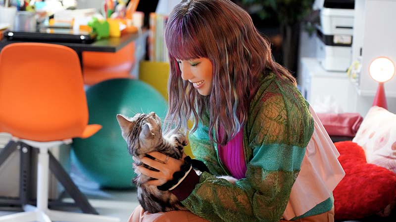 ストーリーイメージ