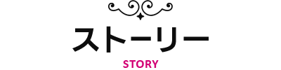 ストーリー-STORY-