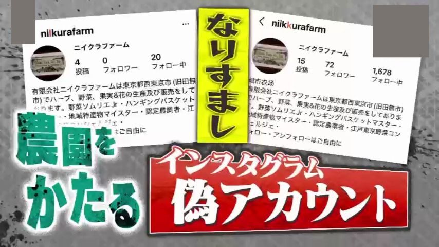 情報ライブ ミヤネ屋｜記事｜【悪質】本物そっくり⁉SNSで急増、農園を