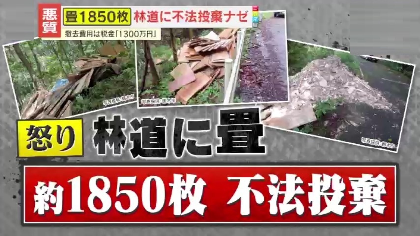情報ライブ ミヤネ屋｜記事｜【悪質】畳1850枚が林道に不法投棄！撤去