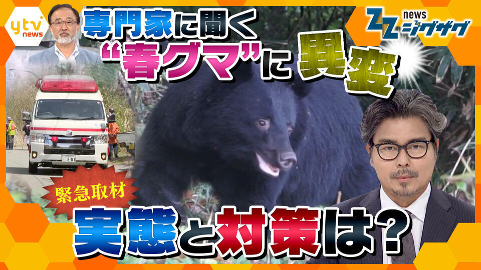 サタデーLIVE ニュース ジグザグ