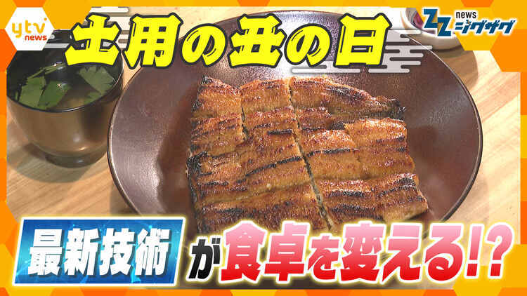 サタデーLIVE ニュース ジグザグ