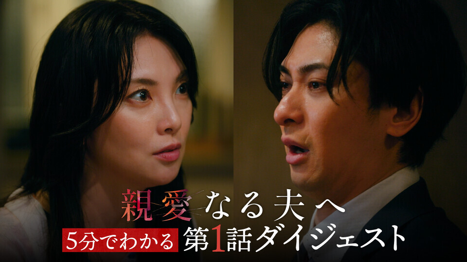無料テレビで親愛なる夫へ～完璧な妻の嘘～を視聴する