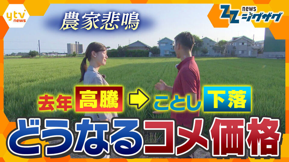 サタデーLIVE ニュース ジグザグ
