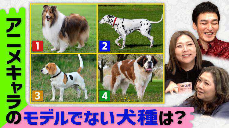 無料テレビで草彅やすともの うさぎとかめを視聴する