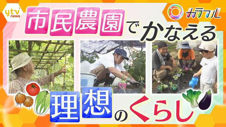 厳選！ytvニュース特集