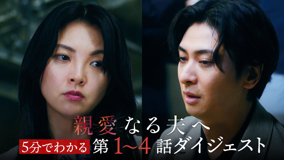 親愛なる夫へ～完璧な妻の嘘～