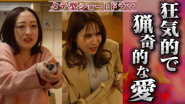 ドッペルマリッジ ー夫には妻が２人いますー