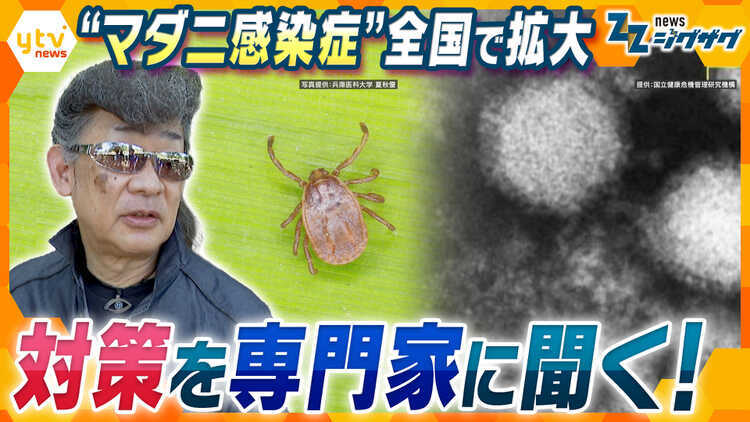 サタデーLIVE ニュース ジグザグ