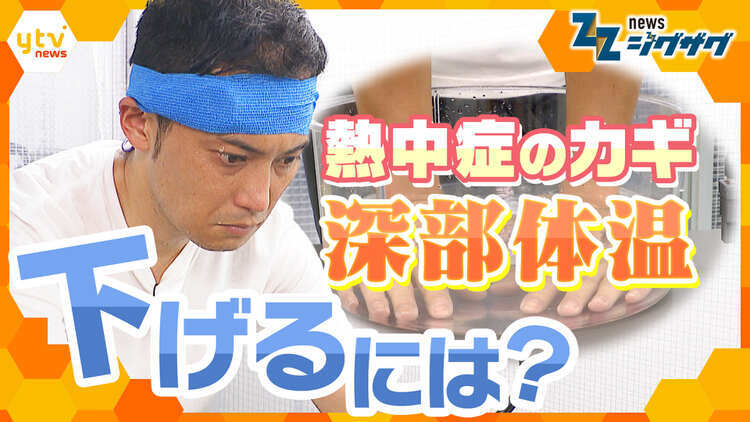 サタデーLIVE ニュース ジグザグ