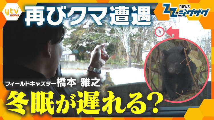 サタデーLIVE ニュース ジグザグ