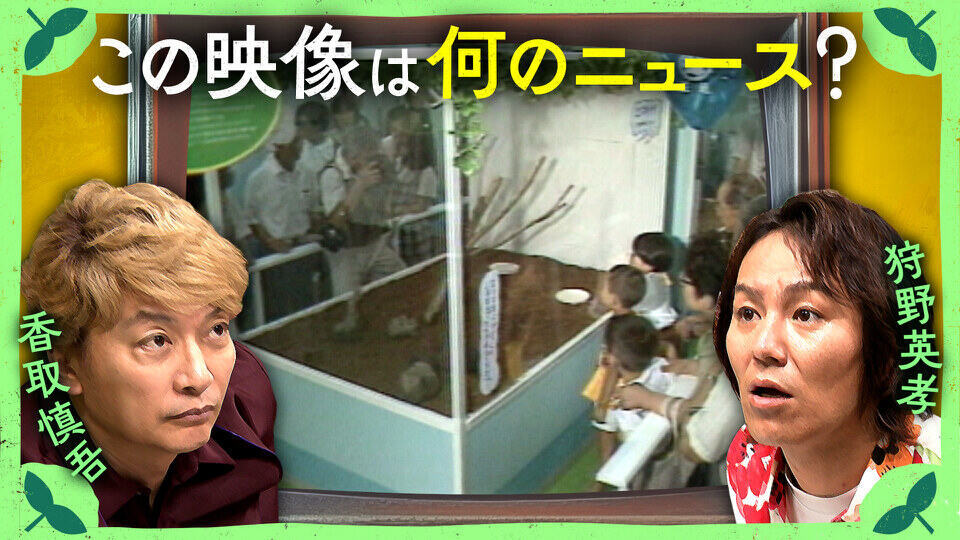 しんごの🌱