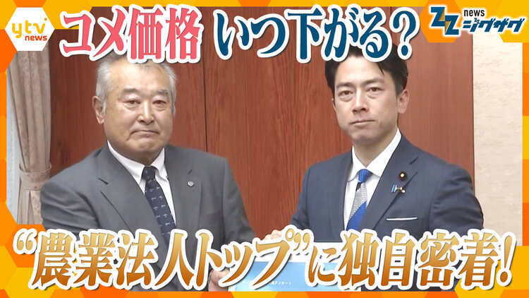 サタデーLIVE ニュース ジグザグ