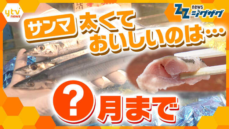 サタデーLIVE ニュース ジグザグ